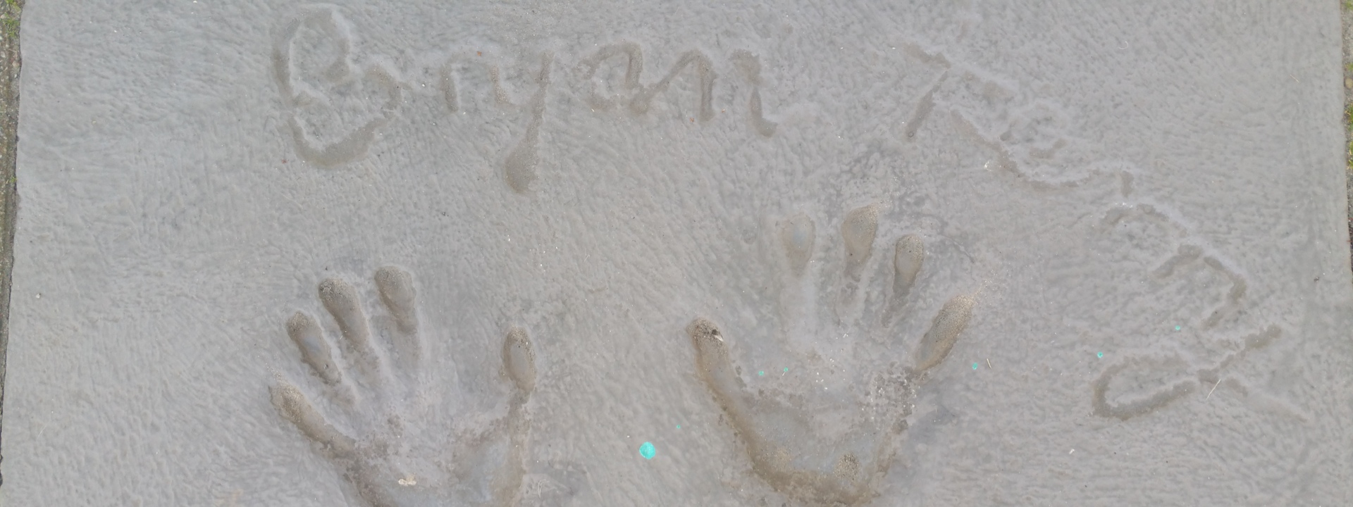 Bryan Ferry-tegel